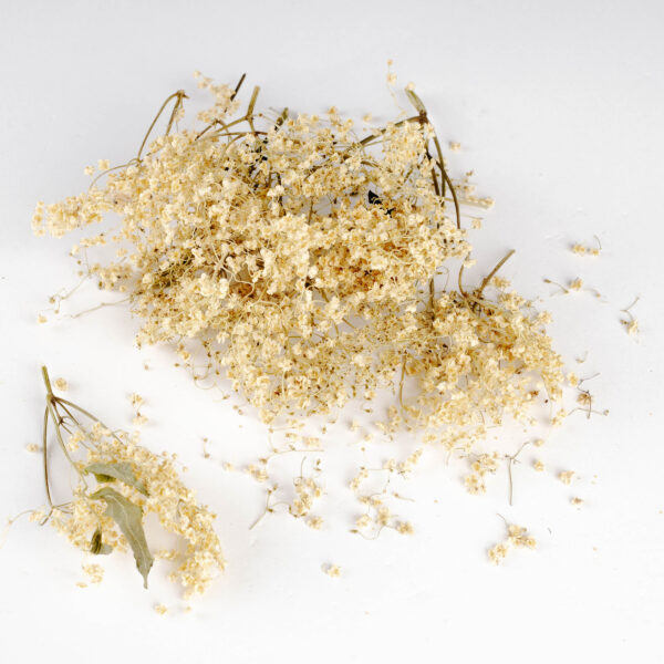 Σαμπούκος (Elderberry / Elderflower)