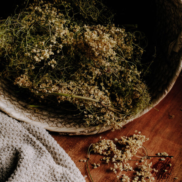 Alternative view of Σαμπούκος (Elderberry / Elderflower)