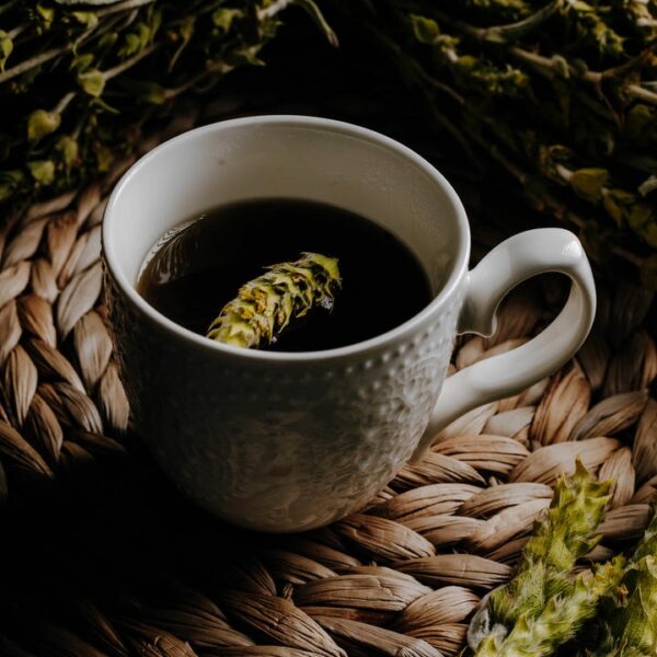 Alternative view of Τσάι του Βουνού Σιδερίτης