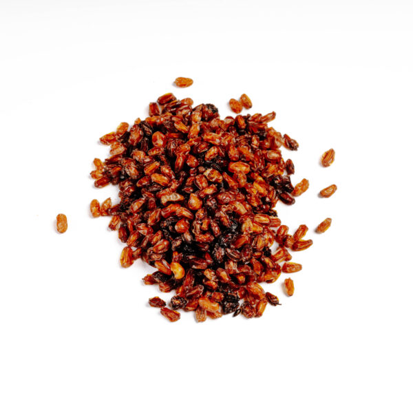 Ιπποφαές / Sea Buckthorn