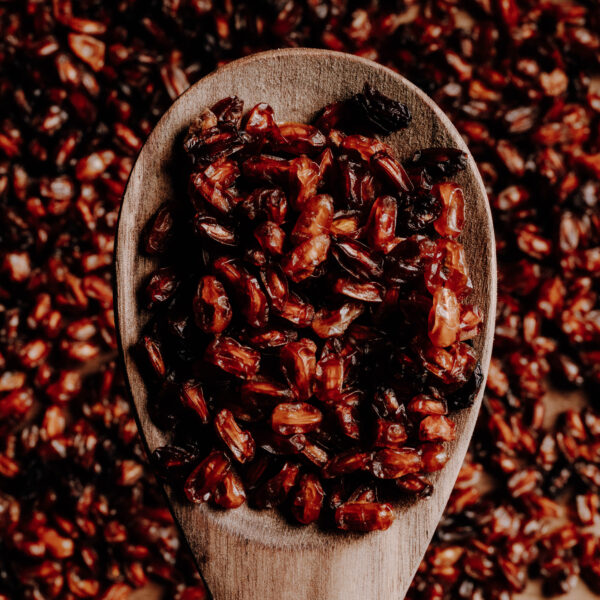 Alternative view of Ιπποφαές / Sea Buckthorn