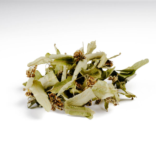 Τίλιο/  Linden Flower