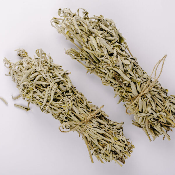 Φασκόμηλο / Sage